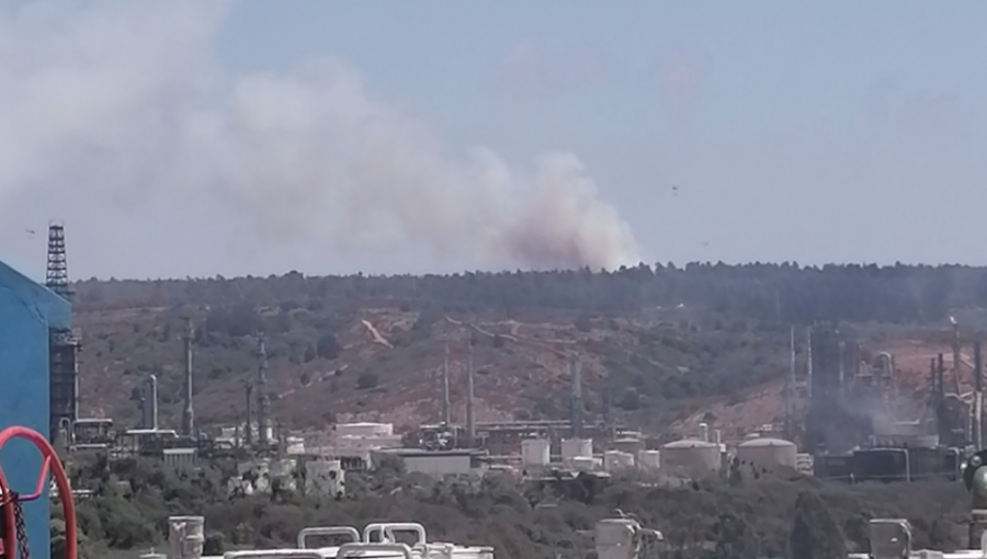 Incendio forestal de grandes proporciones se registra en Concón: Bomberos y Conaf trabajan en la emergencia