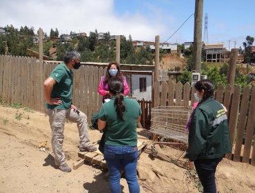 Conaf Valparaíso intensifica patrullajes para prevenir incendios forestales durante Año Nuevo