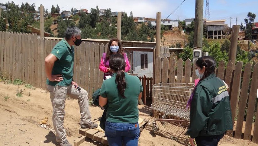 Conaf Valparaíso intensifica patrullajes para prevenir incendios forestales durante Año Nuevo