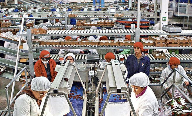 Economía chilena creció por primera vez desde el inicio de la pandemia: Imacec de noviembre fue de 0,3%