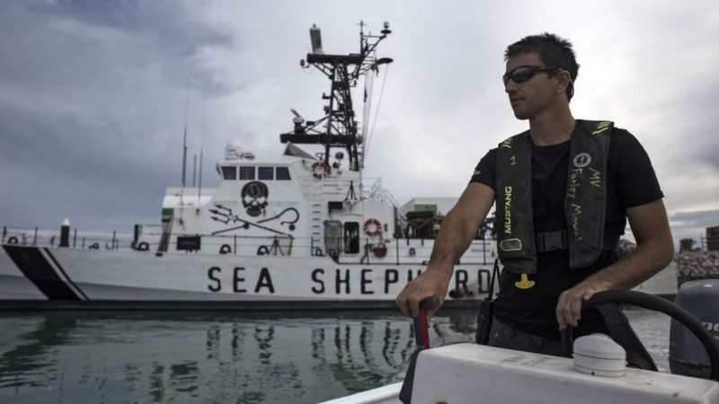 Pescador mexicano falleció tras choque con embarcación de ambientalistas estadounidenses