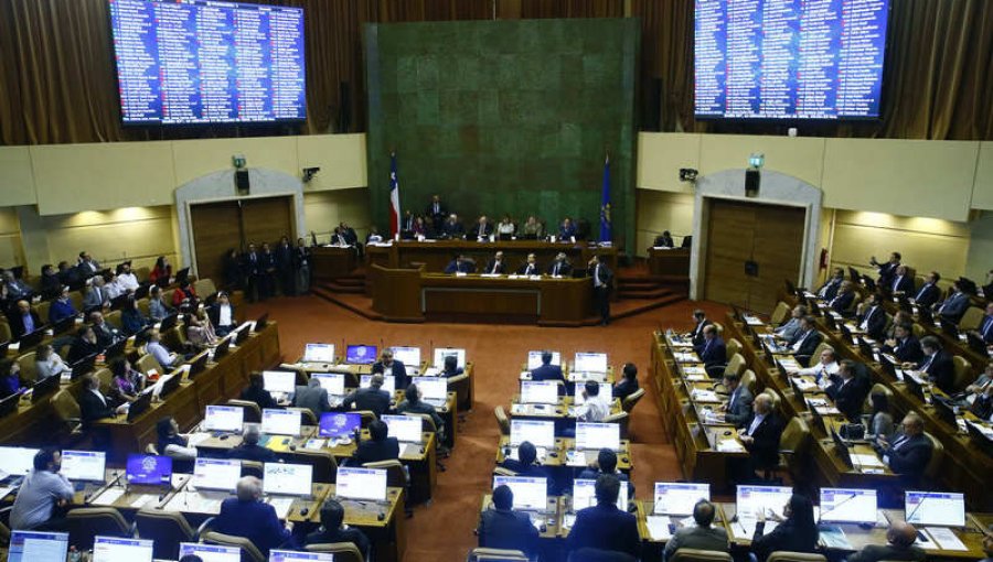 Cámara de Diputados rechazó insistencia del Gobierno por proyecto contra robo de madera en troza