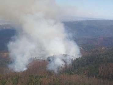 Declaran Alerta Roja para la comuna de Purén por incendio forestal cercano a sectores habitados