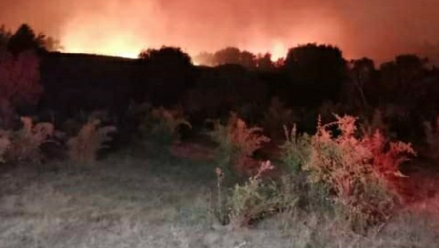 Alerta Roja en la comuna de Nacimiento por incendio forestal que se acerca a sectores poblados