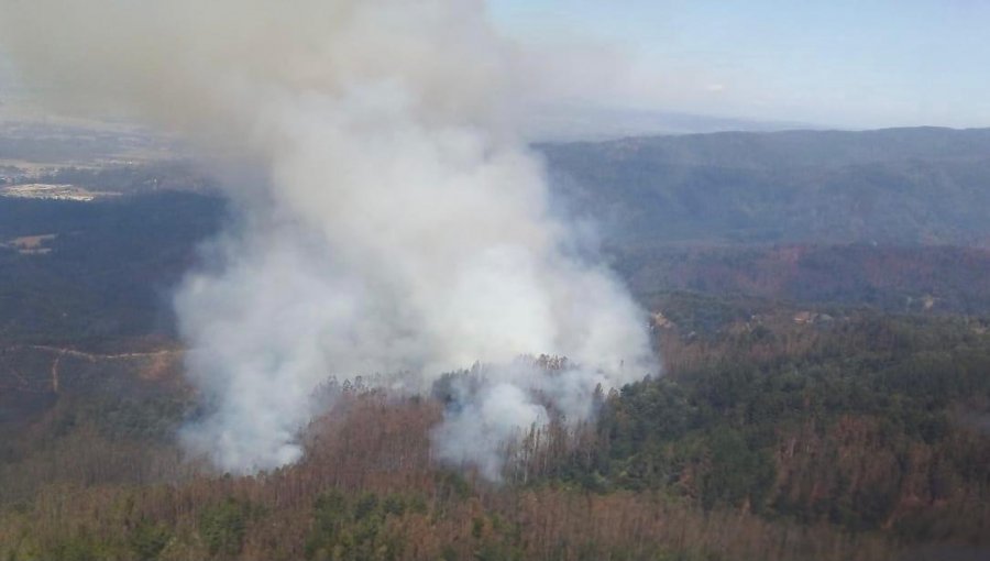 Declaran Alerta Roja para la comuna de Purén por incendio forestal cercano a sectores habitados