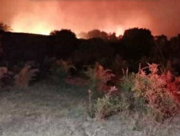 Alerta Roja en la comuna de Nacimiento por incendio forestal que se acerca a sectores poblados