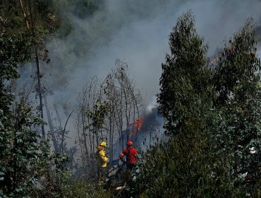 Declaran Alerta Temprana Preventiva para la Provincia del Limarí por amenaza de incendio forestal