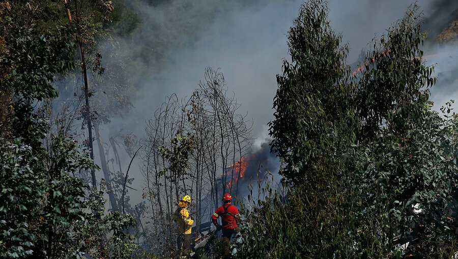 Declaran Alerta Temprana Preventiva para la Provincia del Limarí por amenaza de incendio forestal