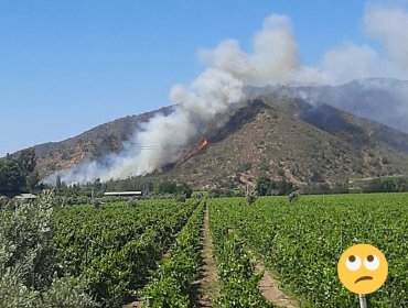 Incendio forestal de proporciones y con rápido avance afecta a sector de La Vinilla en Casablanca