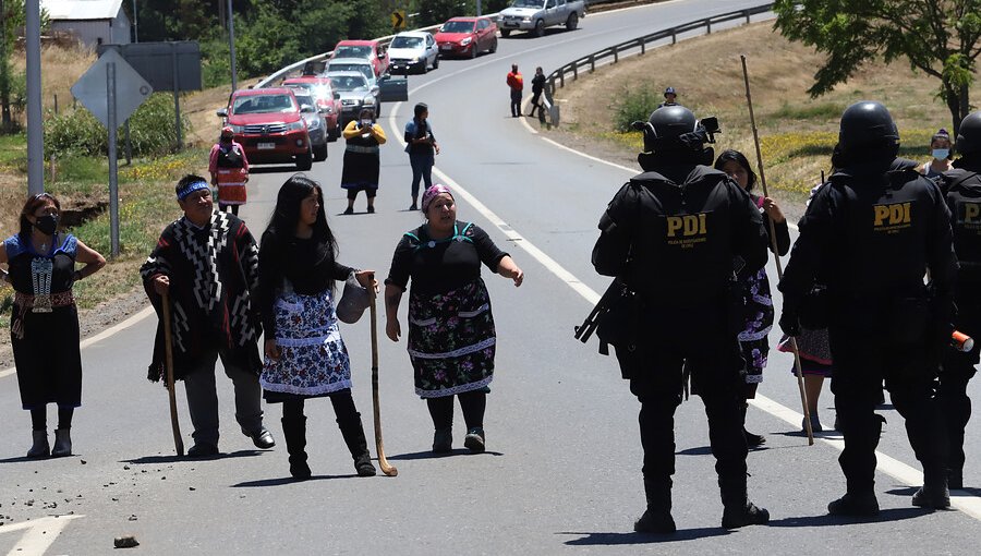 INDH condena muertes en La Araucanía y la "retención con violencia" de niña de 7 años