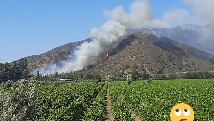 Incendio forestal de proporciones y con rápido avance afecta a sector de La Vinilla en Casablanca