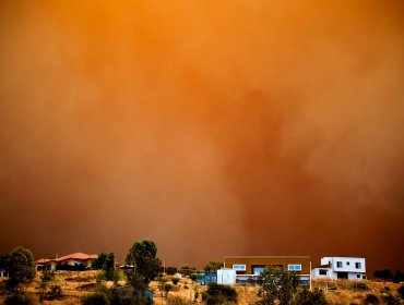 Intendente por incendio forestal entre Valparaíso y Quilpué: “Es absolutamente premeditado, de mentes enfermas”