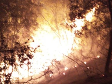 Intenso olor a humo por incendio forestal en Lago Peñuelas afecta a varias comunas de la región de Valparaíso