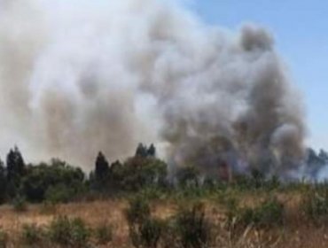 Declaran Alerta Roja para la comuna de Rengo por incendio forestal cercano a viviendas