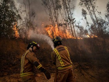 Incendio forestal en Quilpué ha consumido viviendas y más de 400 hectáreas