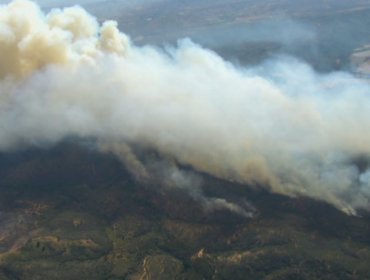 Incendio forestal en Lago Peñuelas ha consumido 120 hectáreas: se percibe gran nube de humo e intenso olor