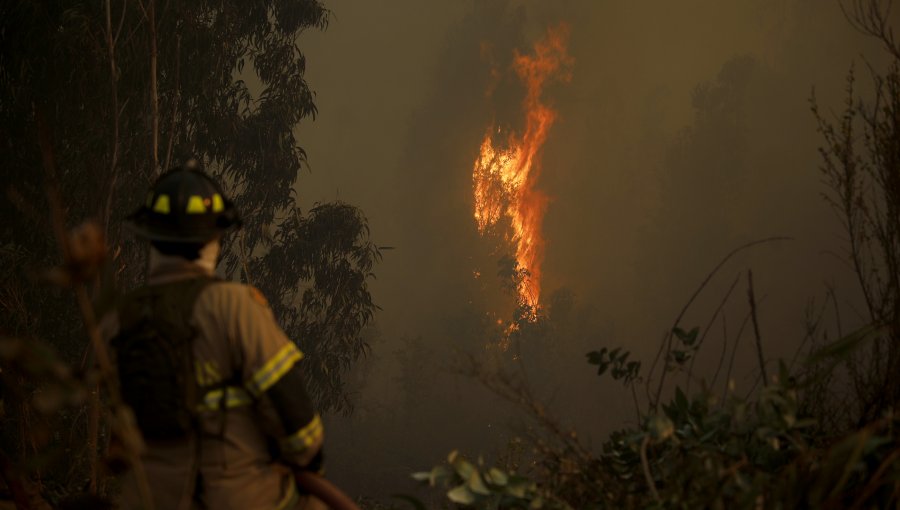 Controlan peligro para sector residencial, pero sigue la emergencia en Quilpué