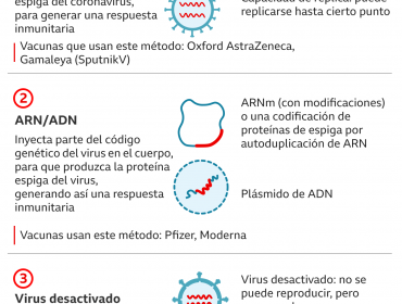 El gráfico que muestra cómo funcionan cuatro tipos de vacunas para combatir el Covid-19