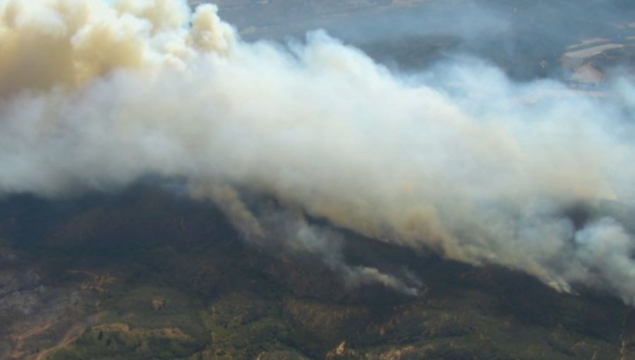 Incendio forestal en Lago Peñuelas ha consumido 120 hectáreas: se percibe gran nube de humo e intenso olor