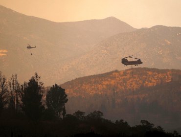 Conaf y los motivos que explicarían intencionalidad del incendio forestal en Quilpué y Valparaíso