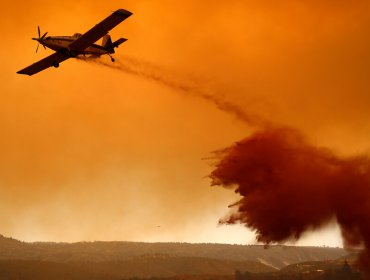 Ministerio Público inicia investigación ante presunta intencionalidad en incendio de Quilpué