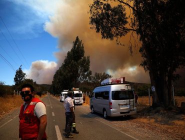 Seremi de Gobierno por incendio forestal: "Se ha solicitado evacuar con tranquilidad hacia la Villa Olímpica de Quilpué"