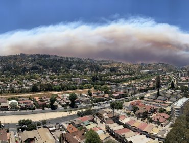 Confirman que incendio forestal ha consumido seis viviendas en Quilpué