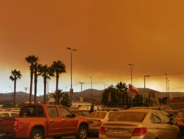 Las impresionantes imágenes que deja el incendio forestal en el límite entre Valparaíso y Quilpué