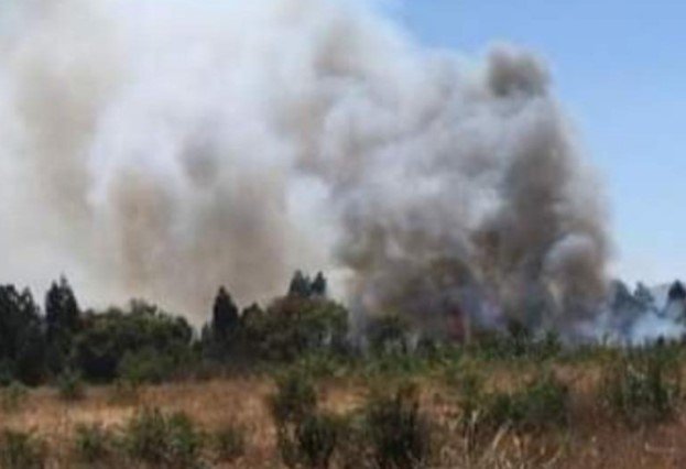 Declaran Alerta Roja para la comuna de Rengo por incendio forestal cercano a viviendas