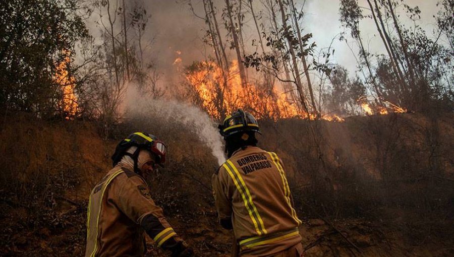 Incendio forestal en Quilpué ha consumido viviendas y más de 400 hectáreas