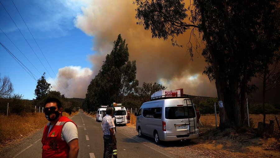 Seremi de Gobierno por incendio forestal: "Se ha solicitado evacuar con tranquilidad hacia la Villa Olímpica de Quilpué"