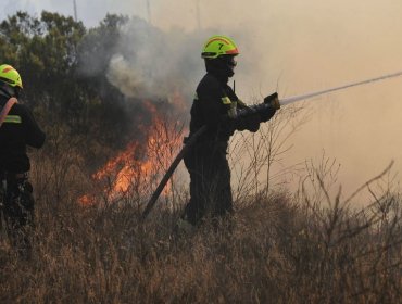 Hombre acusado de iniciar dos focos de incendio en Casablanca quedó en prisión preventiva