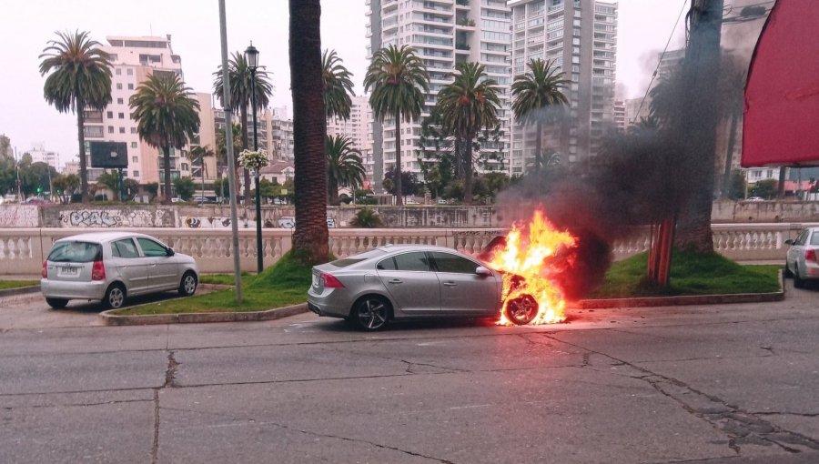 Vehículo se incendió en plena Av. La Marina de Viña: se registró alta congestión