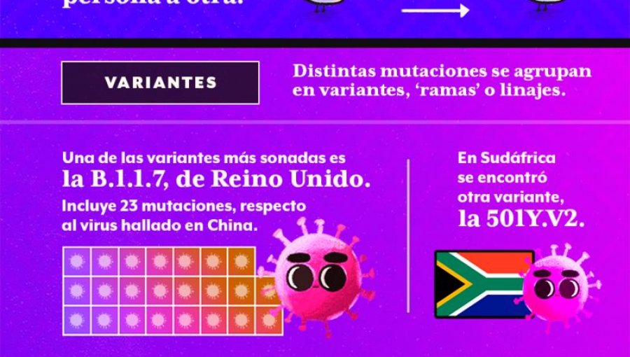 Covid-19: Cuál es la diferencia entre mutaciones, variantes y una cepa