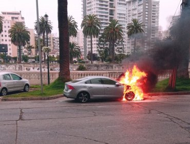 Vehículo se incendió en plena Av. La Marina de Viña: se registró alta congestión