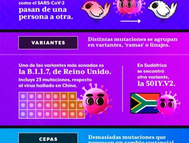 Covid-19: Cuál es la diferencia entre mutaciones, variantes y una cepa