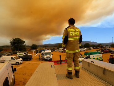 Intendente reitera que incendio en Quilpué fue provocado por alguien que "sabía perfectamente lo que estaba haciendo"