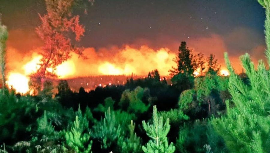 Incendio forestal en el límite entre Nacimiento y Santa Juana deja al menos dos viviendas afectadas