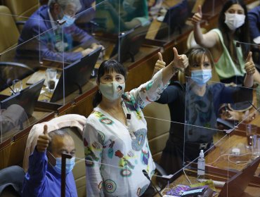 Cámara de Diputados despachó a ley el Fogape 2.0 para la reactivación de la economía