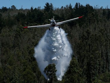 Cancelan la Alerta Roja y declaran Alerta Amarilla para la comuna de Collipulli por incendio forestal