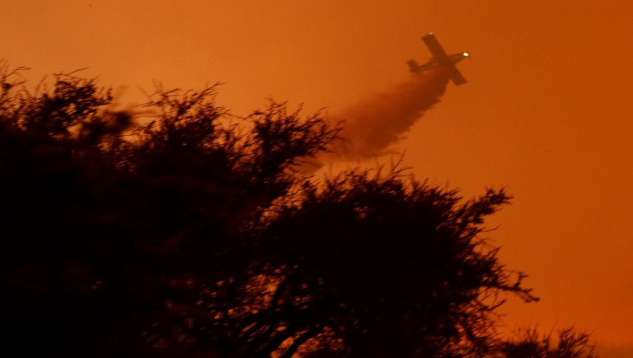 Diputados presentan proyecto para recuperar los bosques tras incendios forestales