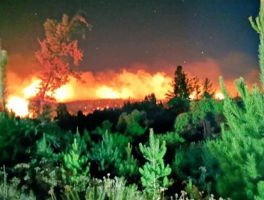 Incendio forestal en el límite entre Nacimiento y Santa Juana deja al menos dos viviendas afectadas