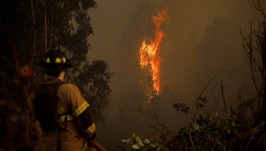 Más de 14 mil hectáreas han sido consumidas por incendios forestales en la temporada 2020-2021