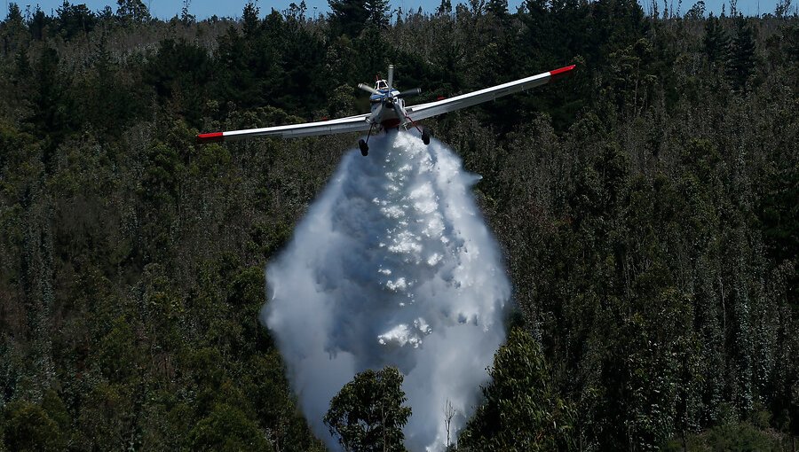 Cancelan la Alerta Roja y declaran Alerta Amarilla para la comuna de Collipulli por incendio forestal