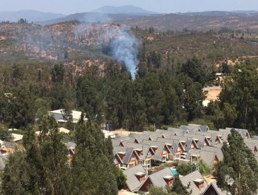 Incendio afectó a sector de Teniente Serrano en Quilpué: se habría tratado de un rebrote de la mega emergencia