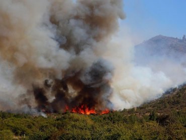 Cancelan la Alerta Temprana Preventiva para la región Metropolitana por amenaza de incendio forestal