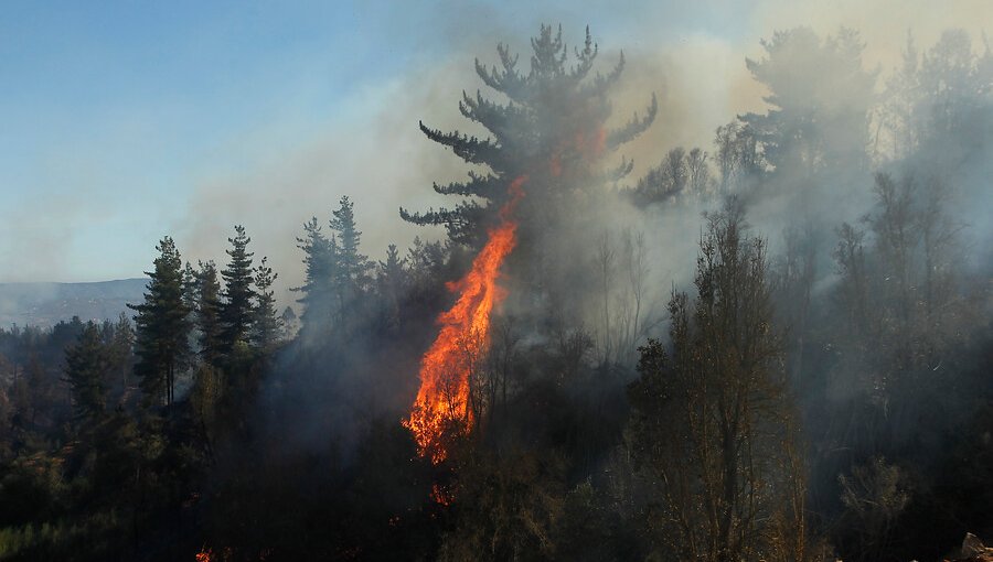 Siete incendios forestales se encuentran activos en el país: Cerca de 7 mil hectáreas consumidas