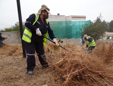 Construyen cortafuegos para proteger a más de mil viviendas ante incendios forestales en Villa Alemana