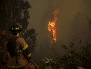 Onemi ordena evacuación por incendio forestal en Collipulli y Ercilla