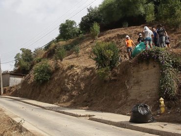 Plan de Prevención de Incendios Forestales: Cerca de 60 kilómetros de cortafuegos se han construido en Valparaíso